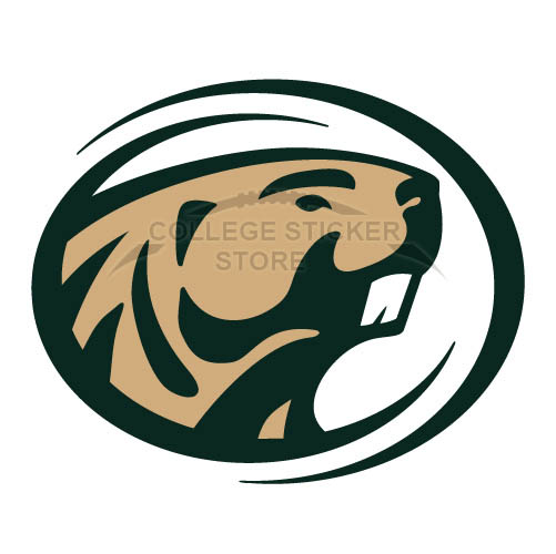Customs Bemidji State Beavers 2004 Iron-on Transfers (Wall Stickers)NO.3994